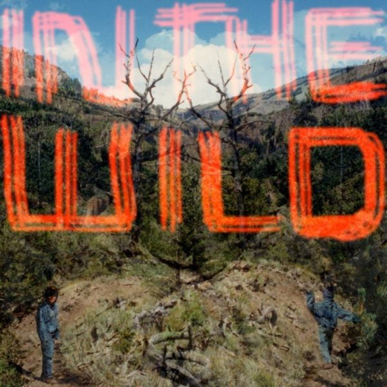 FaltyDL - In The Wild Vinyl 2LP w/ DL
