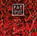 FAT AND THE MASTERS OF HAHA - FAT and the Masters of Haha CD CD