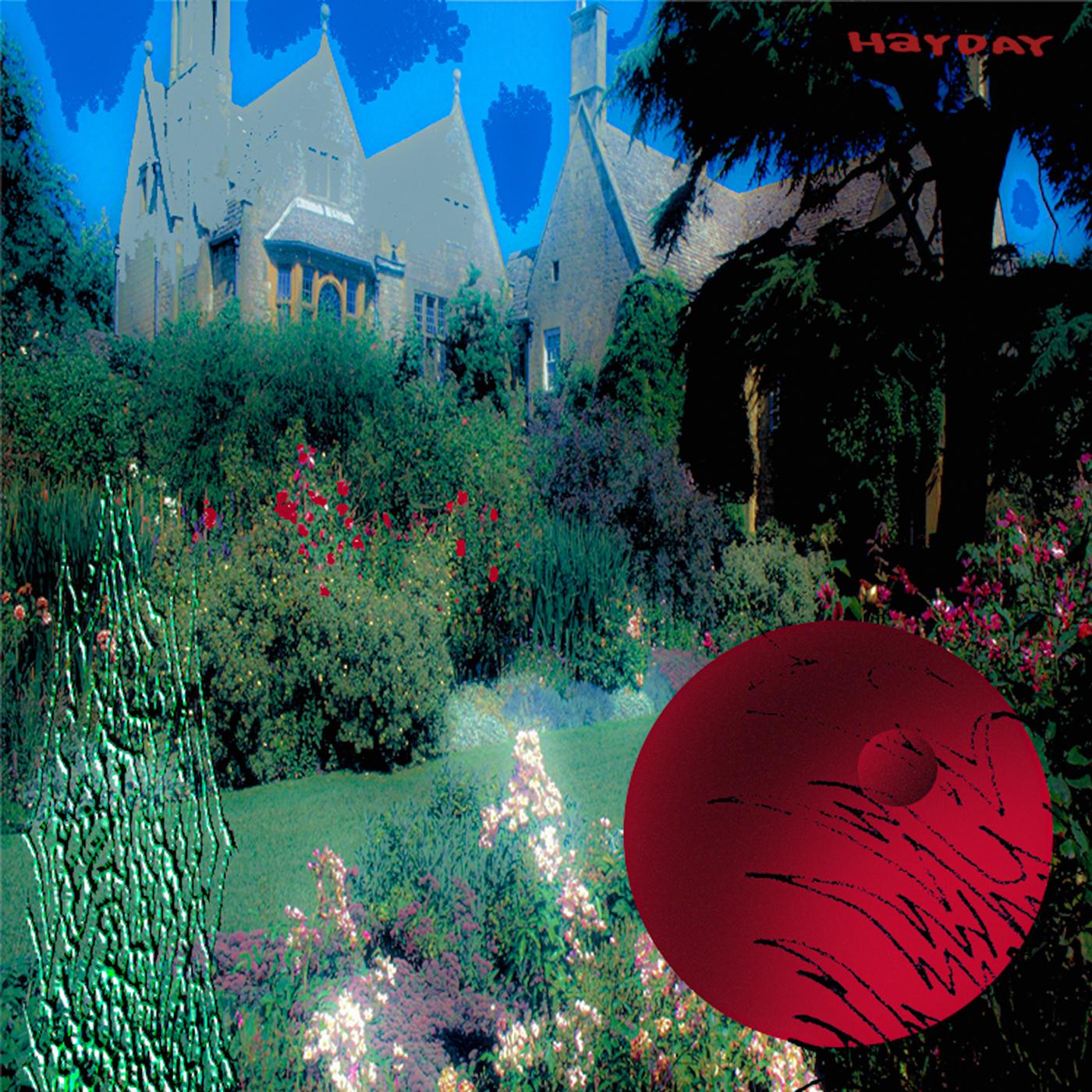feeble little horse - Hayday Vinyl LP [w/ download card]