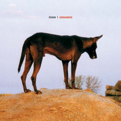 FENIN - Grounded CD CD