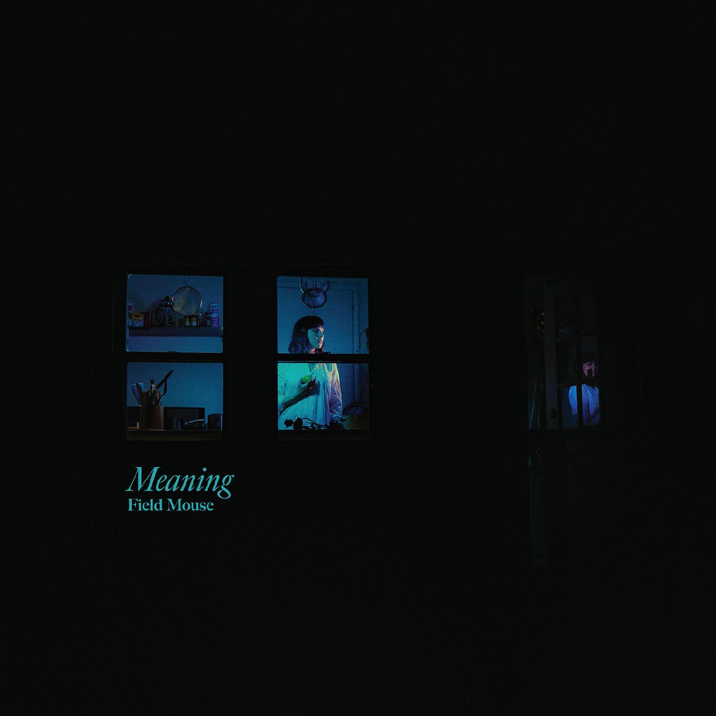 Field Mouse - Meaning Vinyl 12" Vinyl [w/ download card]