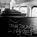 Finnoguns Wake - Stay Young (CLEAR VINYL) Vinyl EP Clear Vinyl