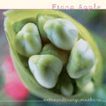 Fiona Apple - Extraordinary Machine (180 Gram Vinyl) (2 Lp's) Vinyl