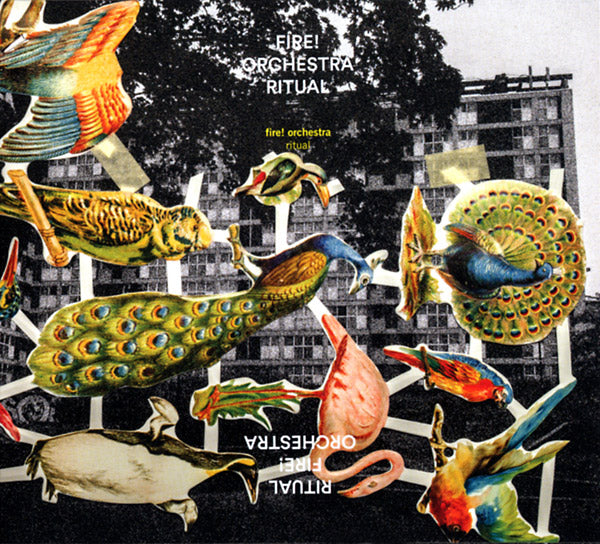 FIRE! ORCHESTRA - Ritual CD CD