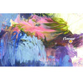 FLANGER - Lollopy Dripper CD CD
