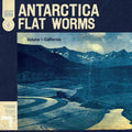 Flat Worms - Antarctica Vinyl LP inner sleeve
