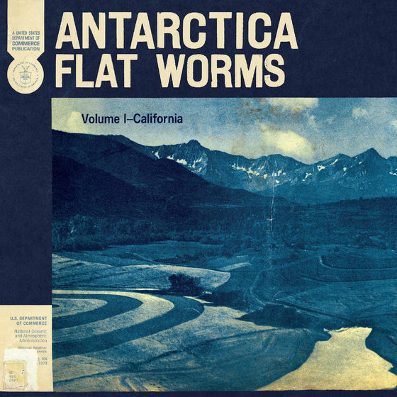 Flat Worms - Antarctica Vinyl LP inner sleeve