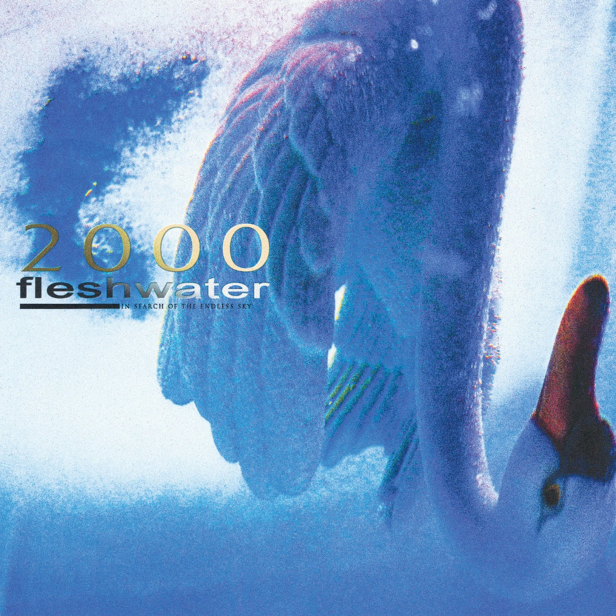 Fleshwater - 2000: In Search Of The Endless Sky (Indie Exclusive Fluorescent Pink Vinyl) Vinyl