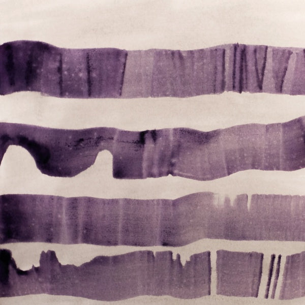 FLOCKS - Flocks Vinyl LP
