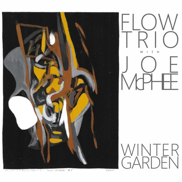 FLOW TRIO WITH JOE MCPHEE - Winter Garden CD CD