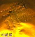 FM3 - HeXieFu CD CD