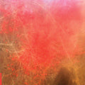 FOOM & FOAM - Foom & Foam Vinyl LP