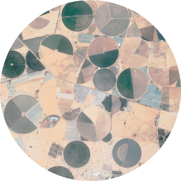 Forest Drive West - Recursion Ep Vinyl 12"