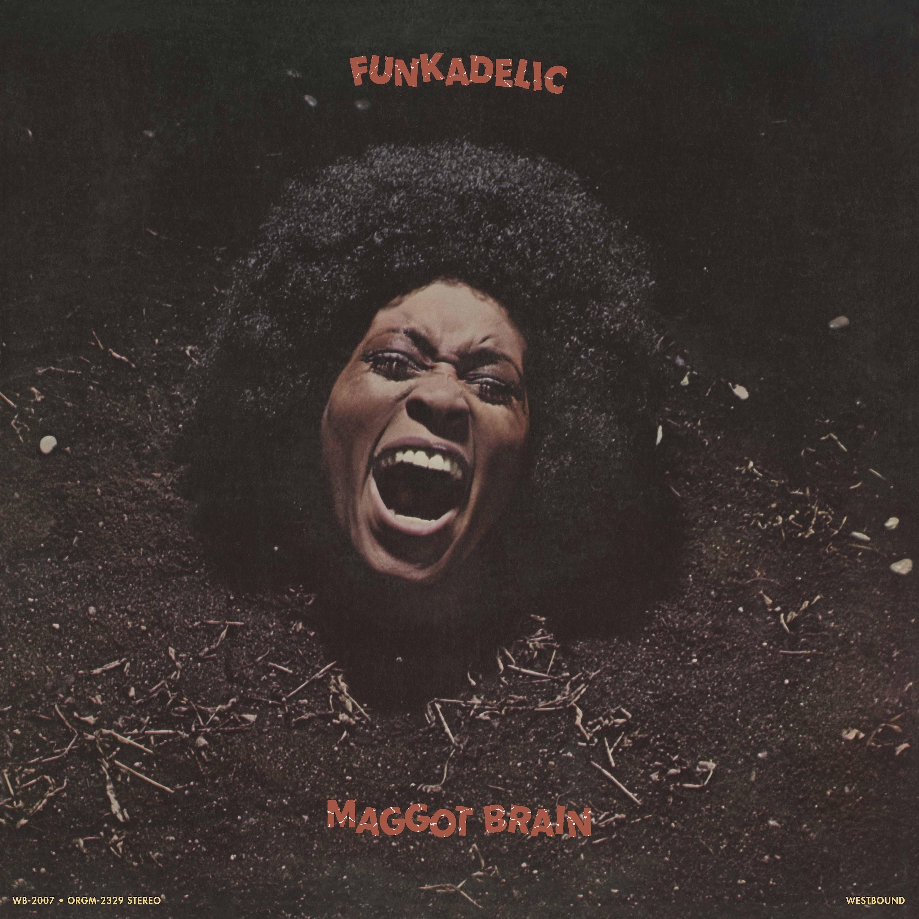 Funkadelic - Maggot Brain [Black LP] Vinyl
