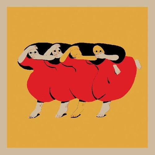 Future Islands - People Who Aren't There Anymore Vinyl LP