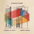 Gabriel Kahane Roomful Of Tee - Elevator Songs [LP] Vinyl