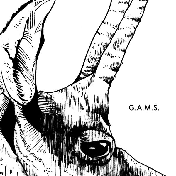 G.A.M.S. - G.A.M.S. Vinyl LP