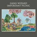 GANG WIZARD - Important Picnic Vinyl LP