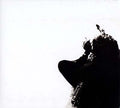 Gato Barbieri - In Search Of The Mystery CD CD