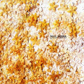 GAVIN HERLIHY - Back Burner Vinyl 12"