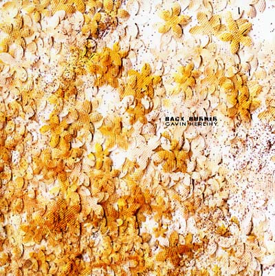 GAVIN HERLIHY - Back Burner Vinyl 12"