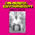 GBOYEGA ADELAJA - Colourful Environment CD CD