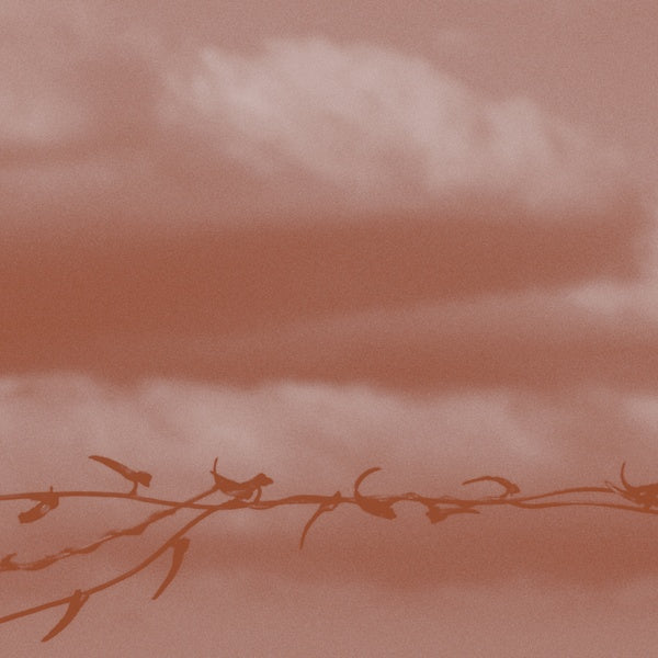 GENEVA SKEEN - Double Bind CD CD