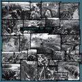 GEOGRAPHY OF HELL - Verdun, 1916 Vinyl LP