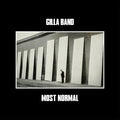 Gilla Band - Most Normal Vinyl LP