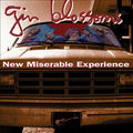 Gin Blossoms - NEW MISERABLE EX Vinyl