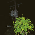 GIUSEPPE IELASI - Down On Darkened Meetings Vinyl LP