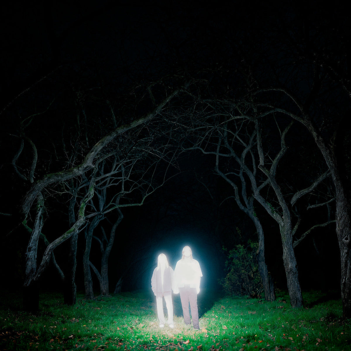 Gnoomes - Losey (Indie Exclusive) [Slate Gray Vinyl] Vinyl