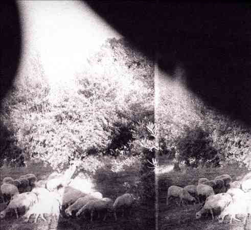 Godspeed You Black Emperor - Asunder Sweet & Other Distress (180 Gram Vinyl, Digital Download Card) Vinyl