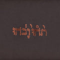 Godspeed You! Black Emperor - Slow Riot for New Zero Kanada (Extended Play) (180 Gram Vinyl) Vinyl