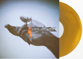 Gregory Alan Isakov - Gregory Alan Isakov With The Colorado Symphony [Dark Amber Vinyl] Vinyl