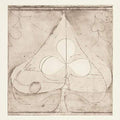 Grizzly Bear - Shields: B-Sides Vinyl LP 180g 12" w/ Download