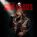 Guns N Roses - The Rock N' Roots Of Vinyl