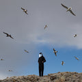 Hamerkop - Remote Vinyl 12" Vinyl inner sleeve