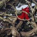 Hannah Frances - Nested In Tangles (Ruby Red Vinyl) Vinyl