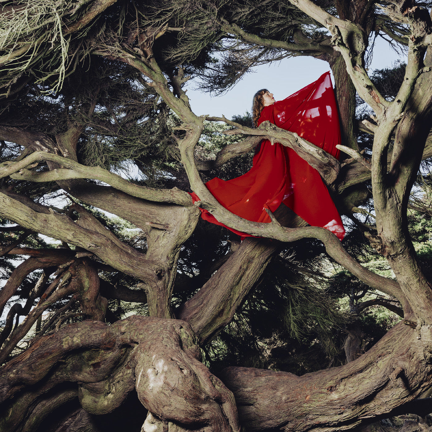 Hannah Frances - Nested In Tangles (Ruby Red Vinyl) Vinyl