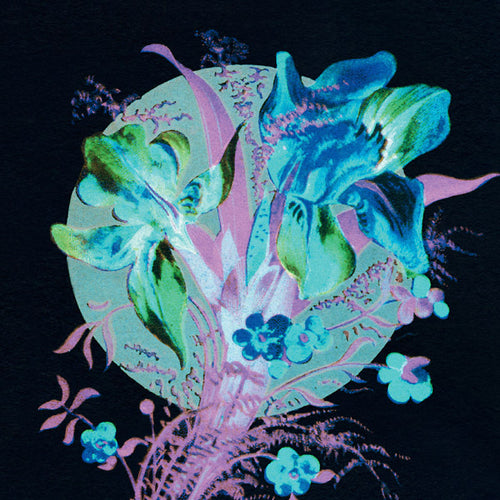 HANNU KARJALAINEN - A Handful Of Dust Is A Desert CD CD