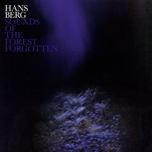 HANS BERG - Sounds Of The Forest Forgotten Vinyl LP