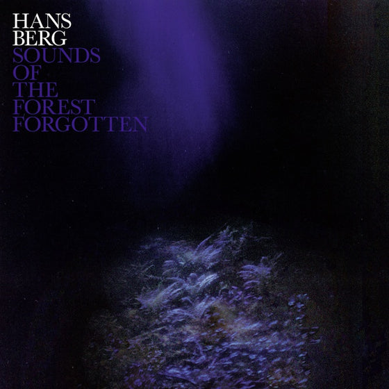 HANS BERG - Sounds Of The Forest Forgotten Vinyl LP
