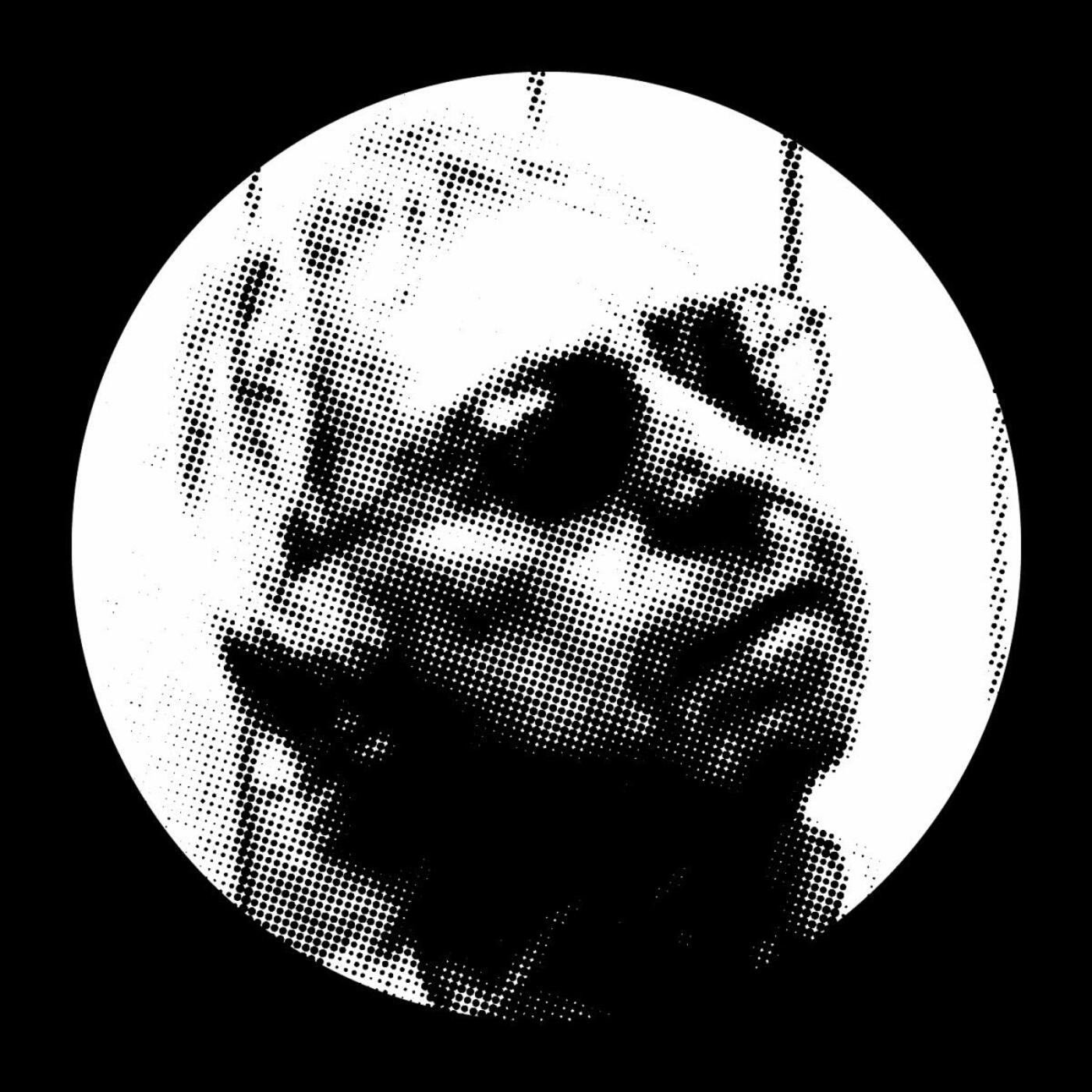 Harold Budd - Remixes Vinyl 12" Vinyl in sleeve