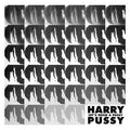 HARRY PUSSY - Let's Build a Pussy Vinyl 2LP