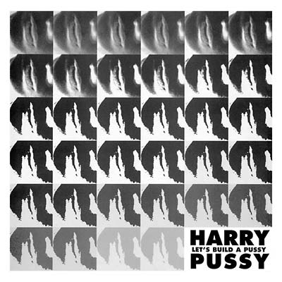 HARRY PUSSY - Let's Build a Pussy Vinyl 2LP