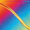 Hayden Thorpe - Moondust For My Diamond Vinyl LP [w/ download card]