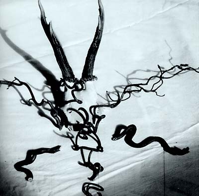 HEAD OF WANTASTIQUET - Mortague Vinyl LP