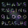 Health&Beauty - Shame Engine / Blood Pleasure Vinyl 2LP Includes insert [w/ download card]