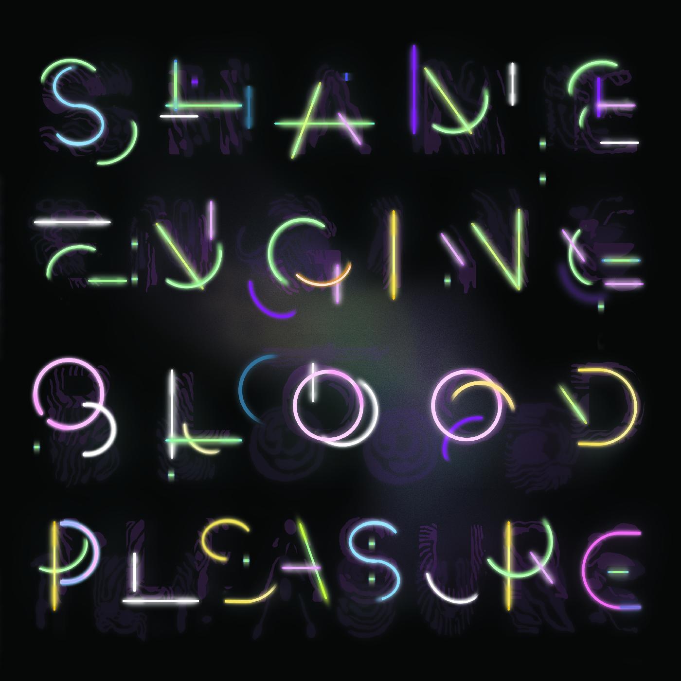 Health&Beauty - Shame Engine / Blood Pleasure Vinyl 2LP Includes insert [w/ download card]